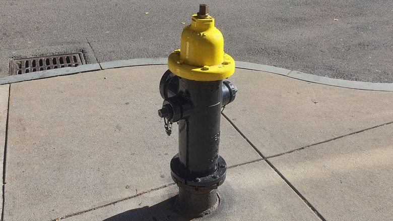 A fire hydrant with a yellow cap.