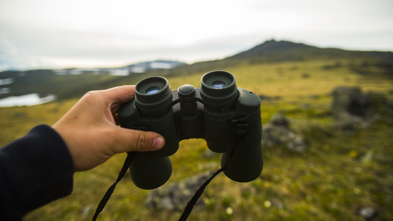 A hand holding binoculars over a landscape