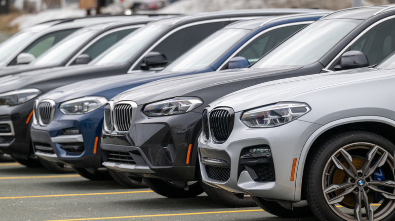 BMW vehicles lined up in a parking lot.