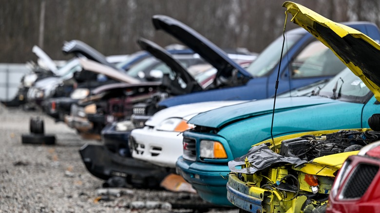 Salvaged cars in junkyard