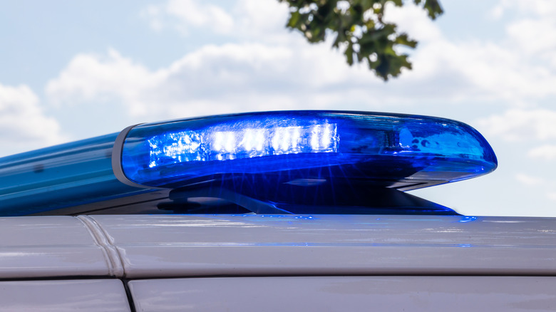 A close up of the blue lights on a police car.