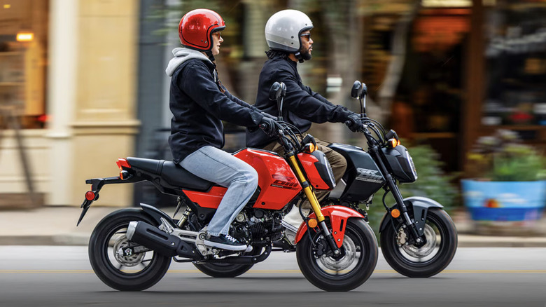 Honda Grom riders side-by-side