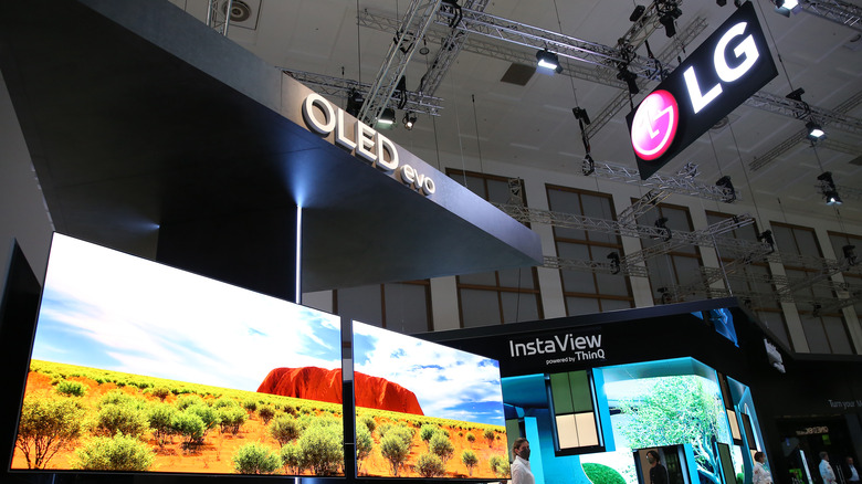 LG OLED TV on display