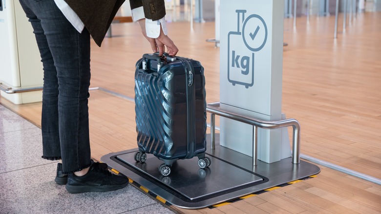 Person weighing luggage on an airline scale.