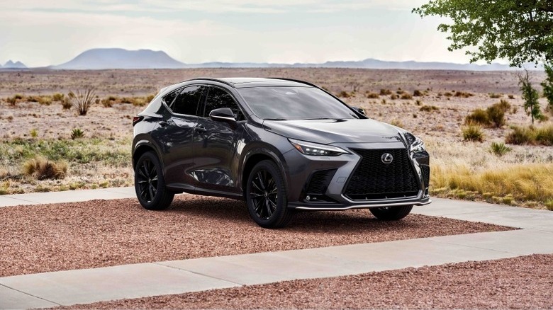 2025 Lexus NX 350 F Sport parked in a semi arid area with mountains in the background