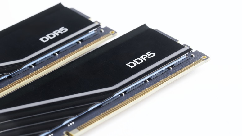 Two black RAM DDR5 DIMM modules