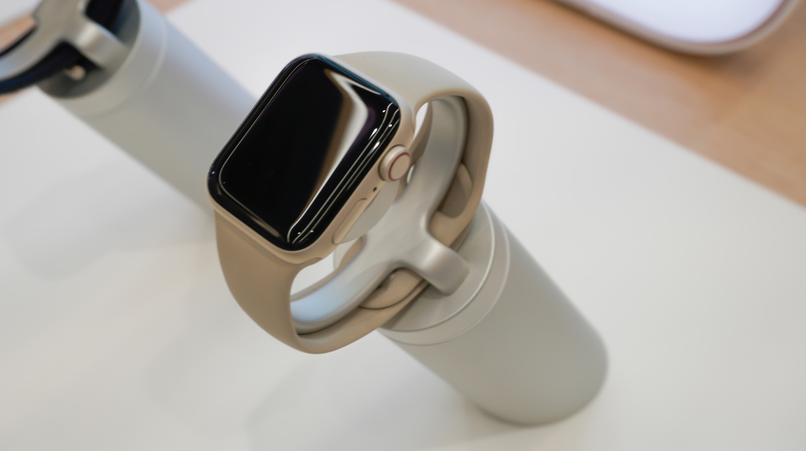 What Does SE Stand For On An Apple Watch?