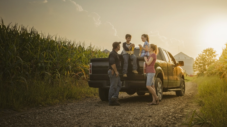 family gathering at the back of a pickup in corn field