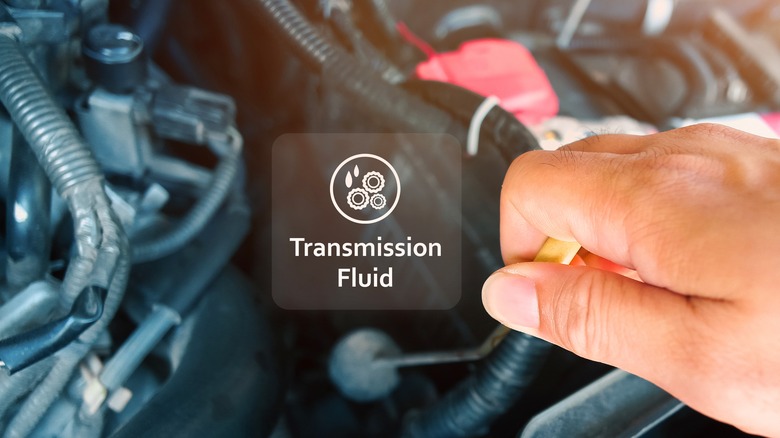 Person checking transmission fluid