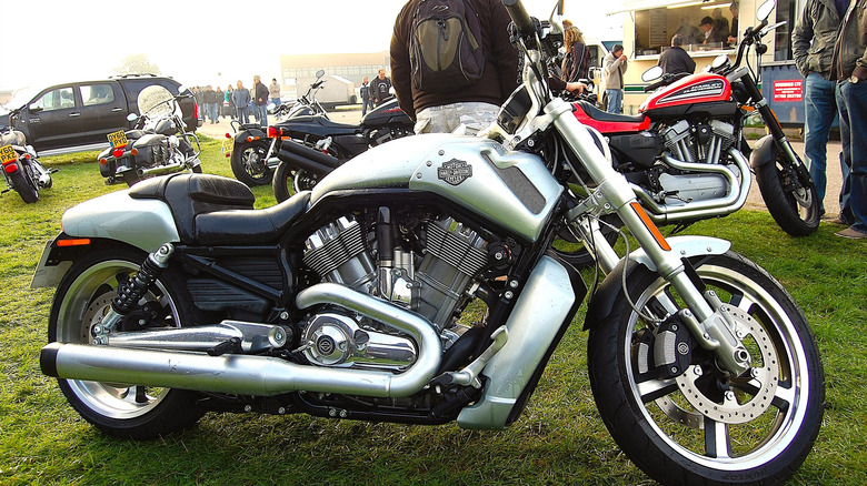 Harley-Davidson V-Rod Muscle on display at outdoor bike show