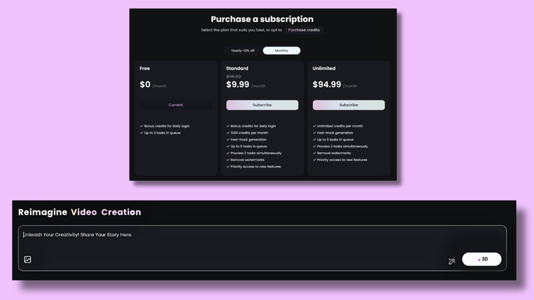 Screenshots of Hailuo's website showing subscription plans and prompt window