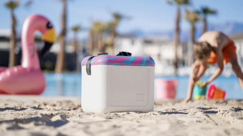 FOAM cooler on beach with inflatable pink swan