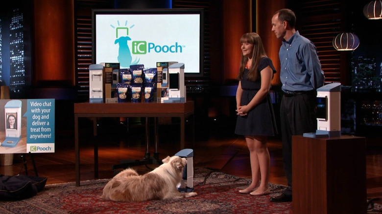 Brooke, James, and Yo-yo presenting iCPooch