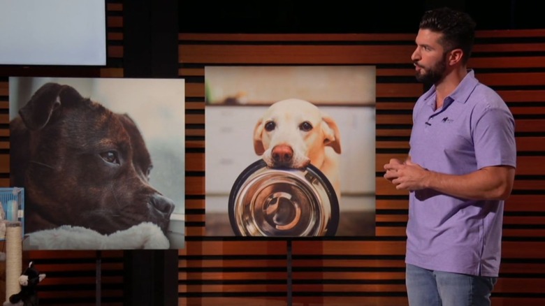 Woof founder Arsy Khodabandelou on Shark Tank with animal photos in background.