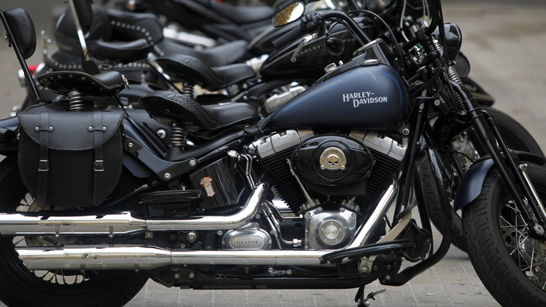 Harley-Davidson motorcycles parked in a row