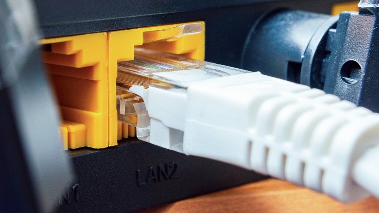 networking cable plugged into router