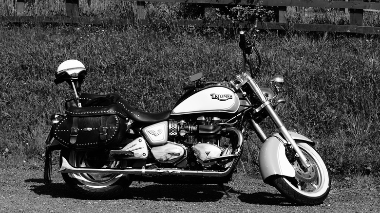 Triumph motorcycle with sissy bar