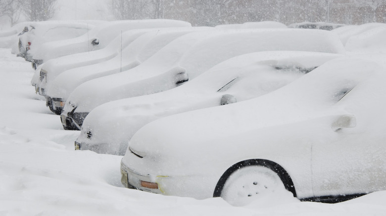 Snow Covered Cars