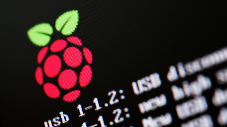 Raspberry Pi OS screen