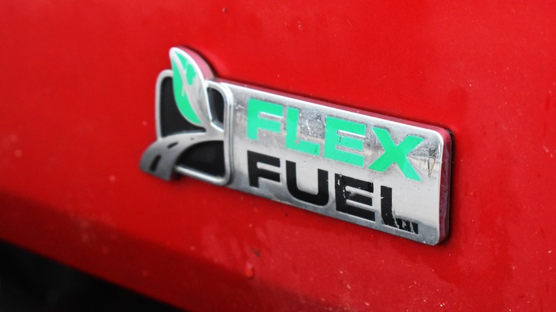 Ford Flex Fuel badge closeup