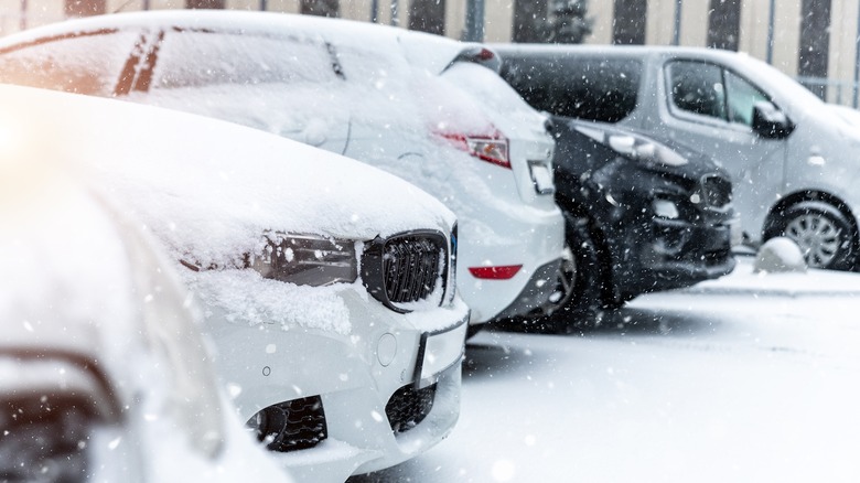 Cars parked in winter