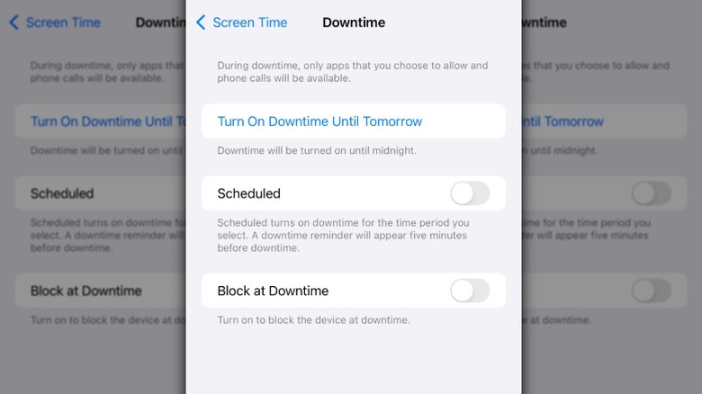 iPhone Downtime set up screen