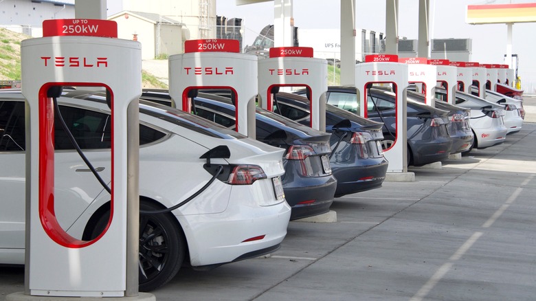 Tesla charging stations in row