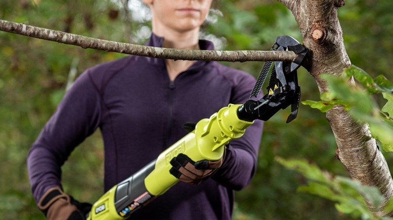 Gardener using a lopper on branches