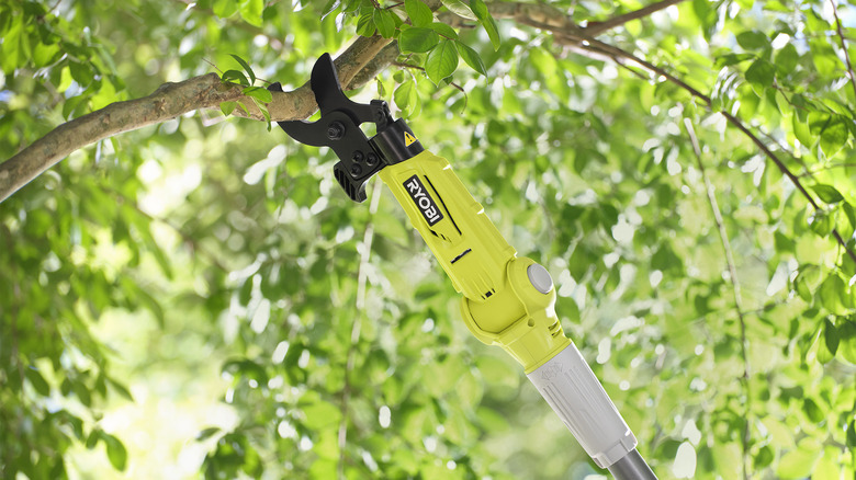 Ryobi pole lopper cutting a branch