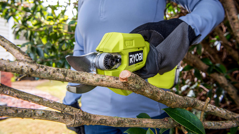 Ryobi pruning shears cutting a branch