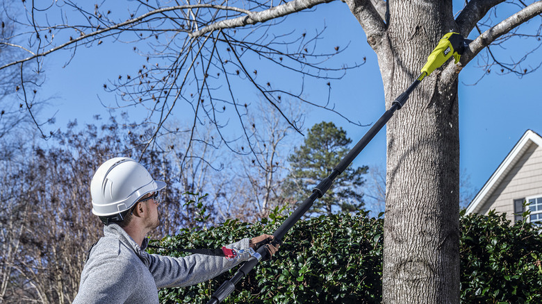 Man using Ryobi pole saw