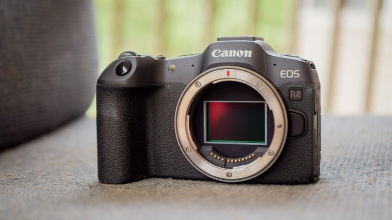 Canon EOS R8 with Lens Removed