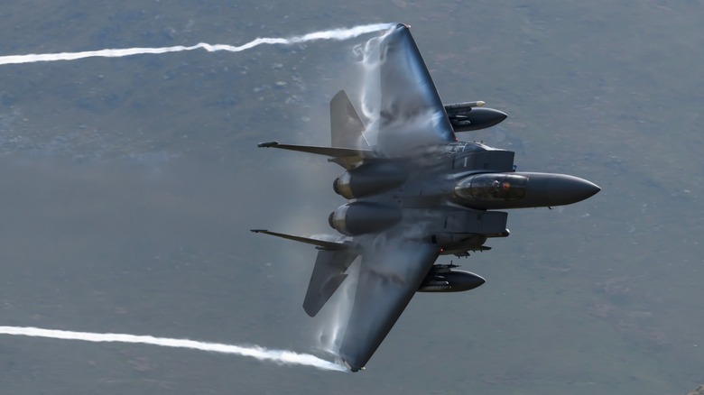 F-15E Strike Eagle 