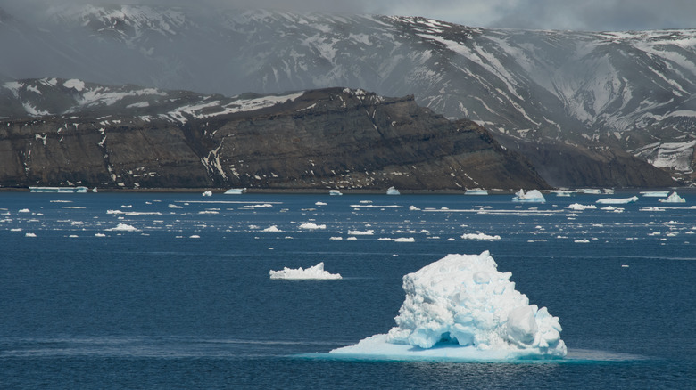 Snow melting in Antarctica