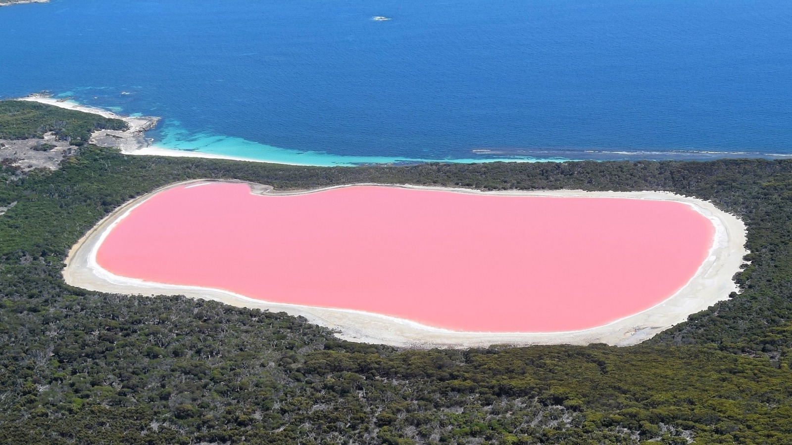Why Are Some Lakes Pink?