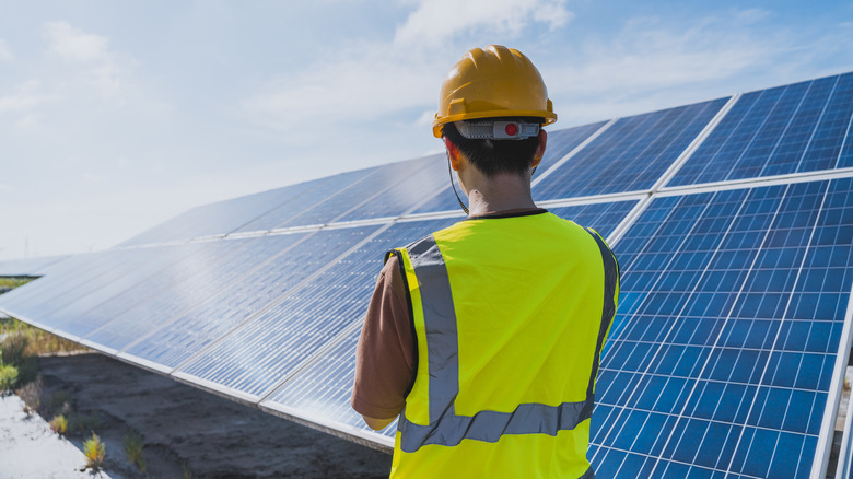 Person inspecting a solar panel array