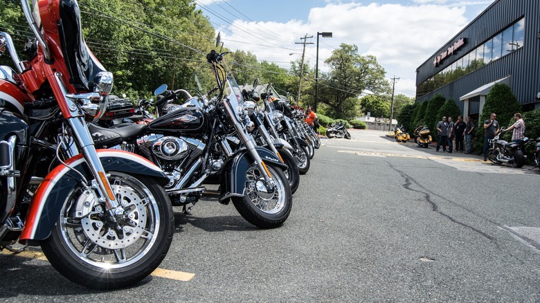 row of parked Harley Davidsons