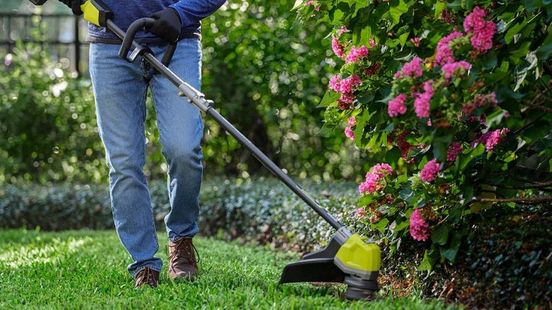 trimming by pink flowers