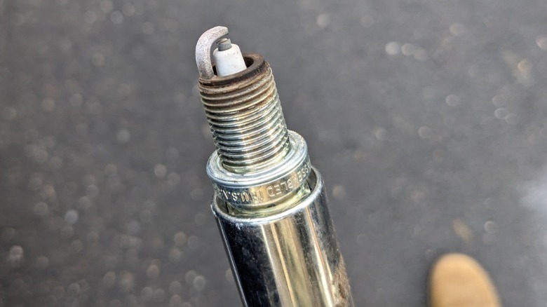 spark plug inside a socket