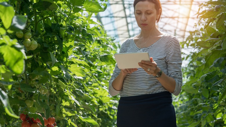 Woman holding a computer tablet in a greenhouse