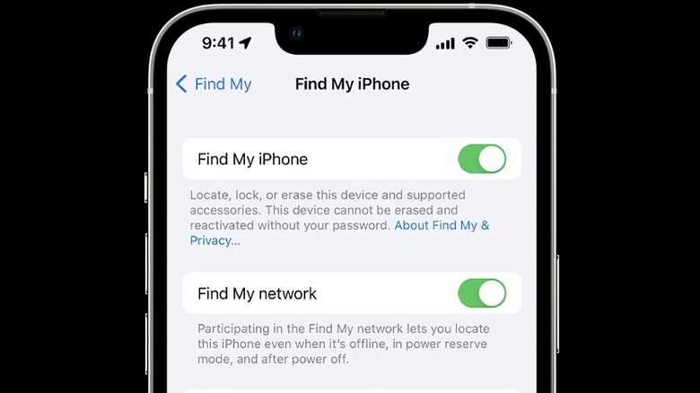 Find My iPhone panel in iPhone's settings