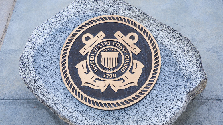 US coast guard seal on a boulder