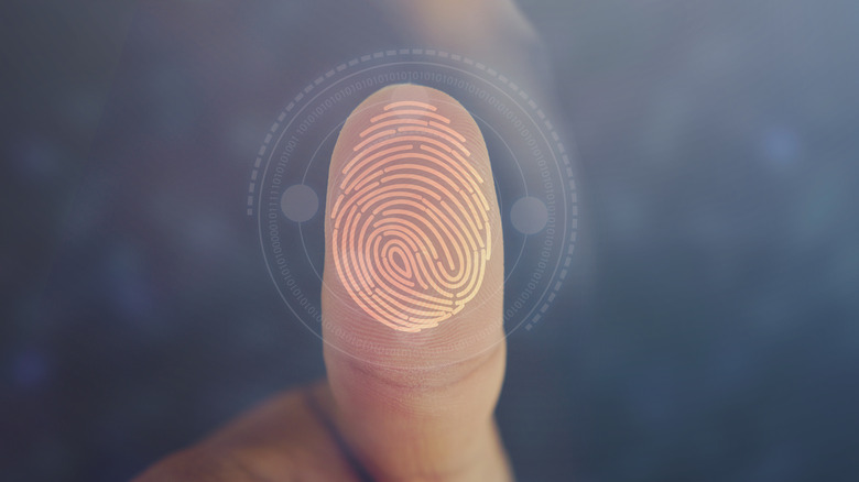 fingerprint recognition screen and finger