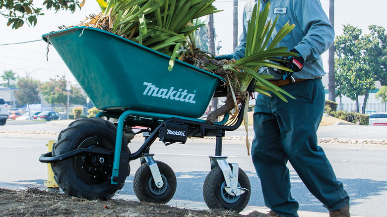 Makita battery-powered wheelbarrow in use