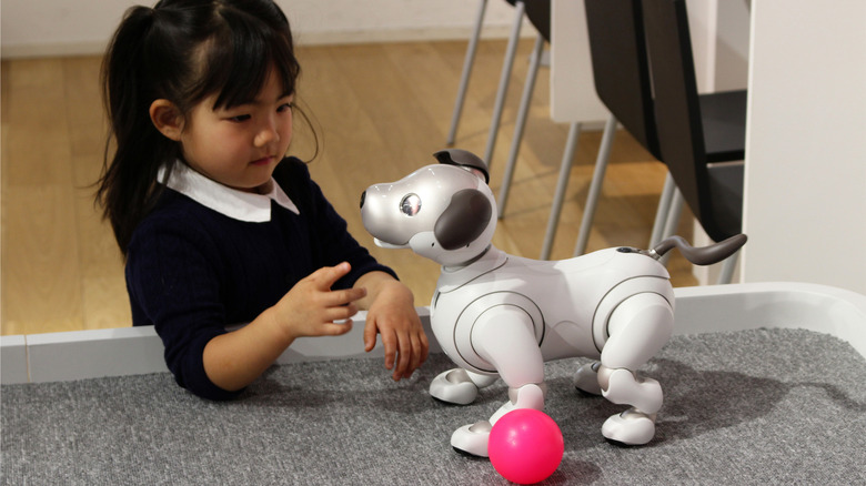 little girl playing with Aibo robot