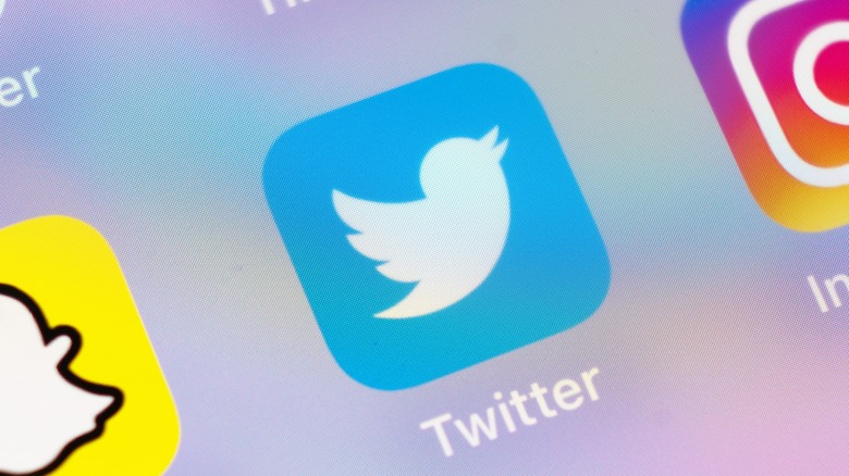 A closeup of Twitter's icon on a smartphone screen