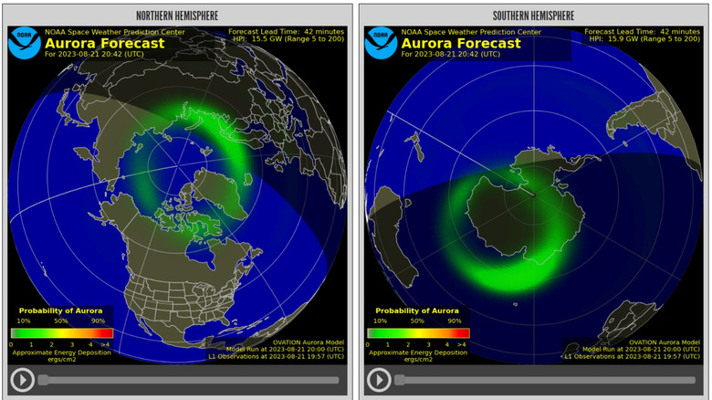 screenshot of aurora forecast in the polar regions