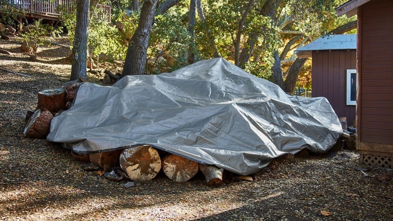 Silver tarp covering logs