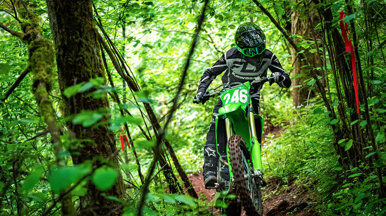 KX250X inside a forest