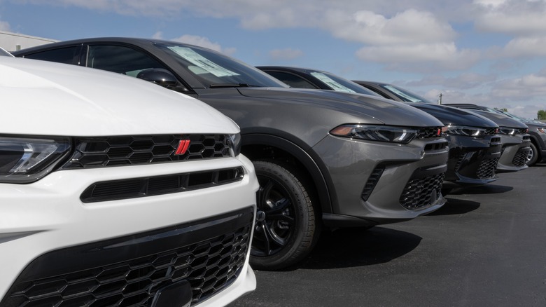 Line of Dodge Hornets at dealership